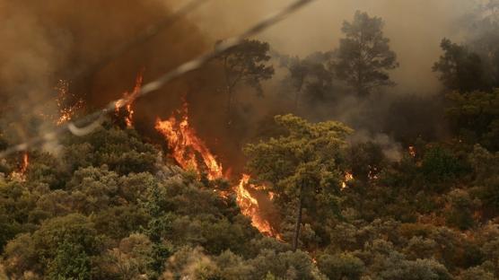 6 dakikada müdahale başladı! Fethiye ve Milas'ta çıkan orman yangını söndürüldü