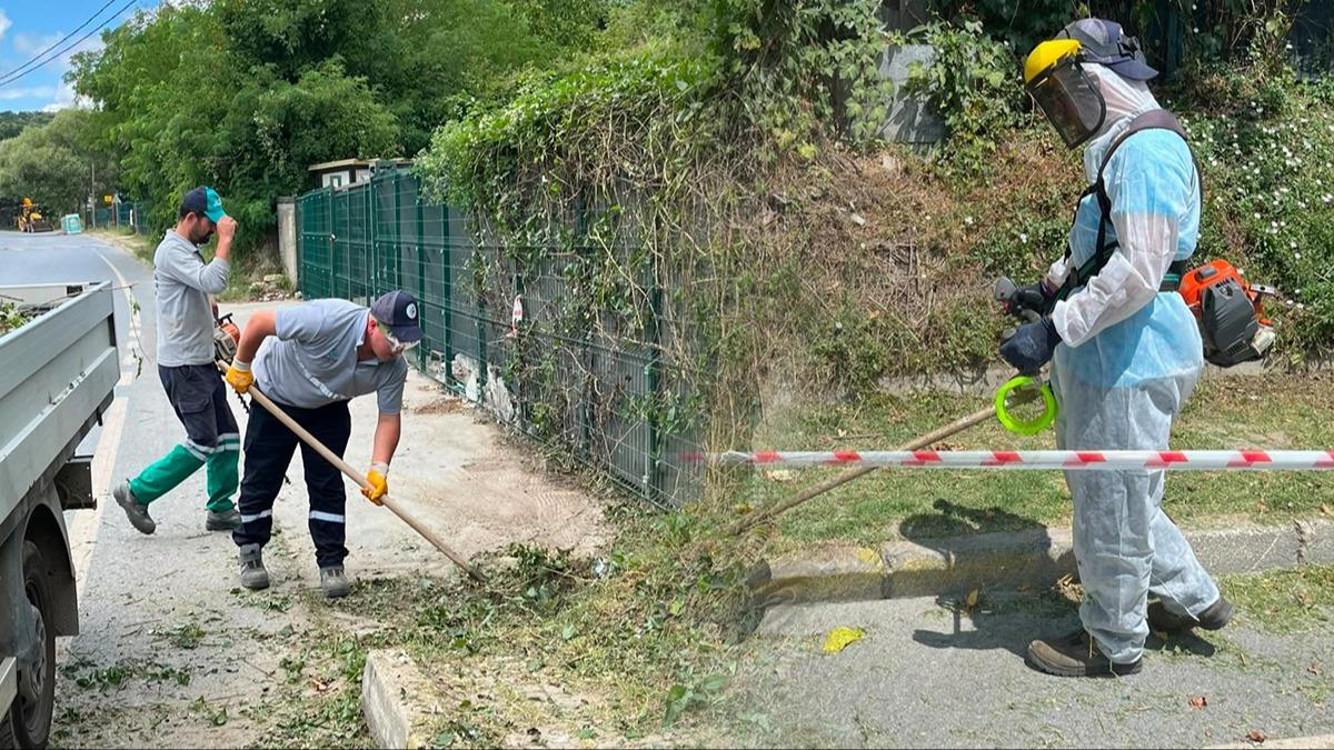 Sorumluluktan kaçınca AK Partili belediye temizledi