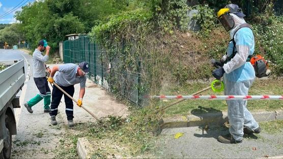 Sorumluluktan kaçınca AK Partili belediye temizledi