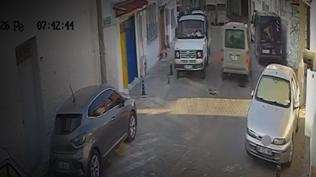 Muğla'da vicdansızlık: İki kediyi ezip arkasına bakmadan yoluna devam etti