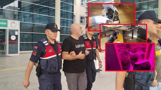 Evini kenevir tarlasına çevirmiş