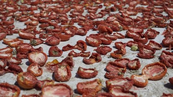 Kurutulmuş domates ihracatı 6 ayda 60 milyon dolar kazandırdı