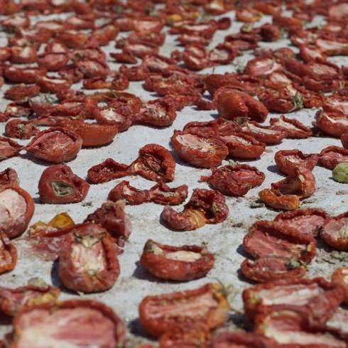 Kurutulmu� domates ihracat� 6 ayda 60 milyon dolar kazand�rd�
