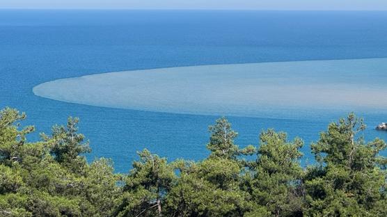 Bartın'da denizin rengi değişti! Irmaktan gelen çamurlu su kıyıyı kapladı