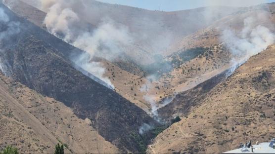 Elazığ'daki örtü yangınında yeni gelişme! Arı kovanlarının sahibi gözaltına alındı