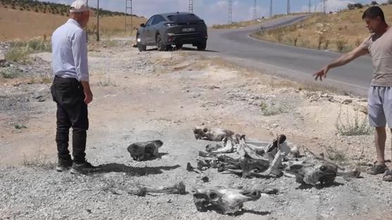 Hayrete d���ren manzara! Yol kenar�nda tesad�fen bulundu: Bu etler ara�t�r�ls�n