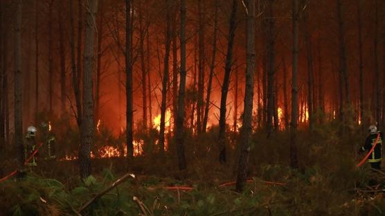 Fransa ormanlar� alev alev... '�kinci D�nya Sava��'ndan bu yana en a��r tablo'