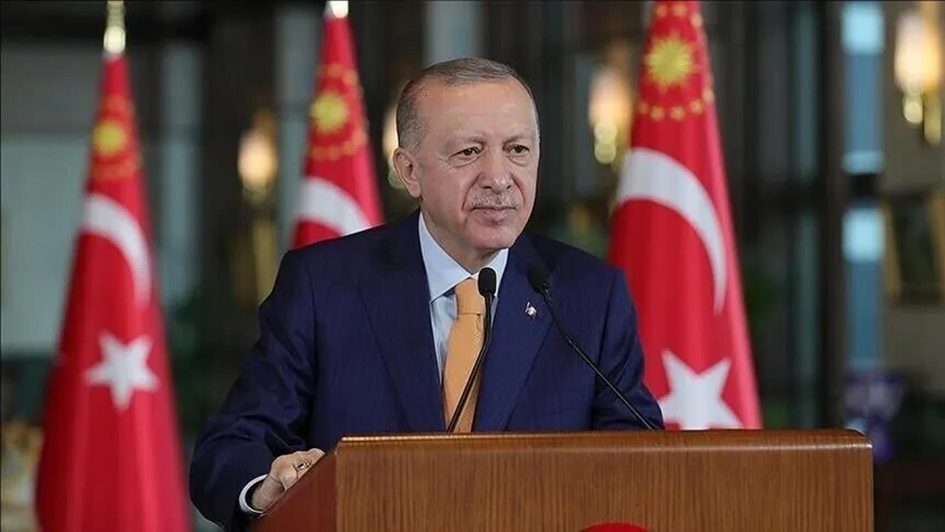 Cumhurbaşkanı Erdoğan, Litvanya Başbakanı Sinkevicius ile görüştü