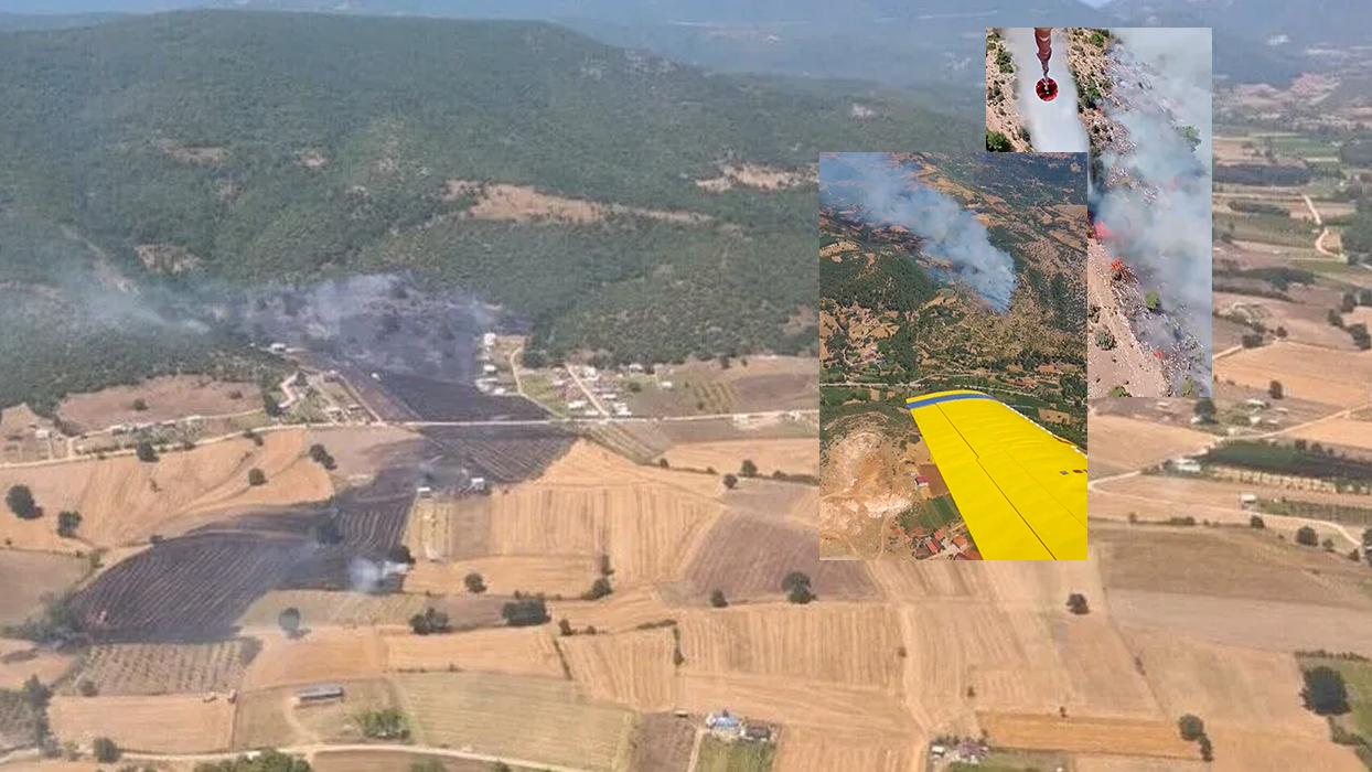 İki ilde alevlerle mücadele! Ekipler kontrol altına almaya çalışıyor