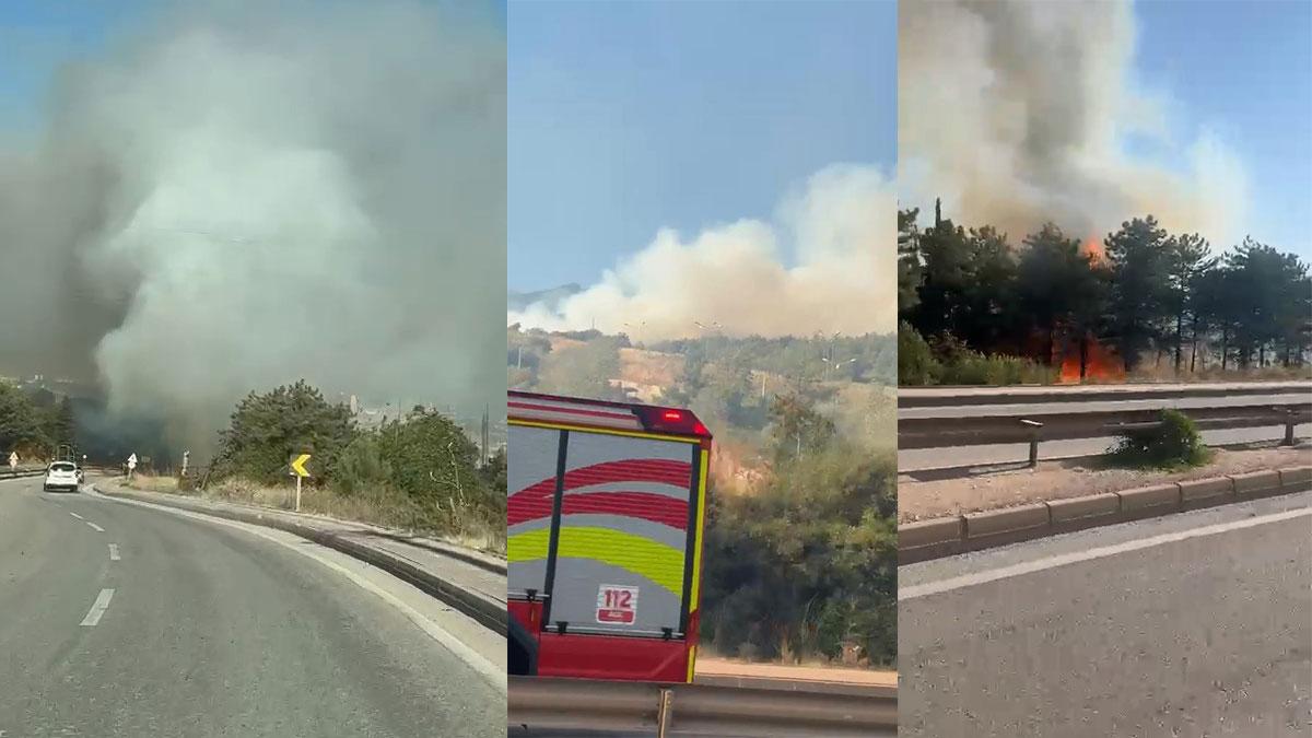 Uludağ'ın eteklerinden alevler yükseliyor! Dumanlar birçok noktadan görülüyor