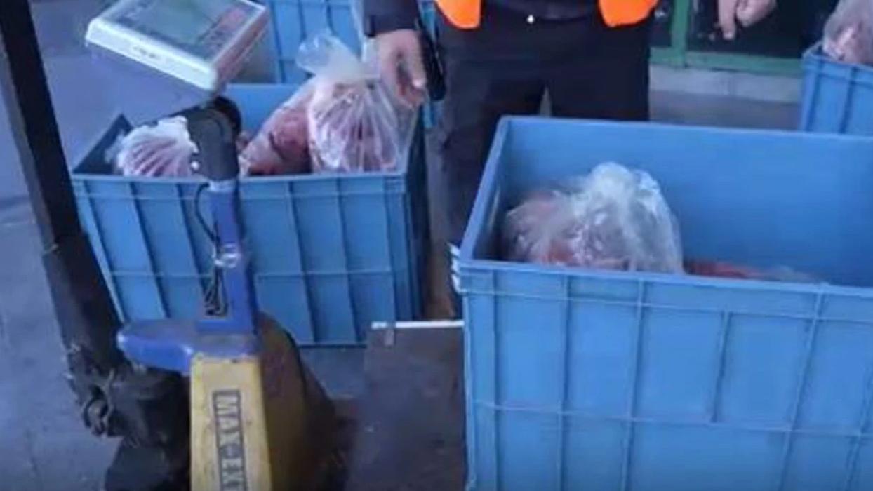 Antalya'da gıda deposunda skandal! 152 kilo et ve 20 bidon turşuya el konuldu