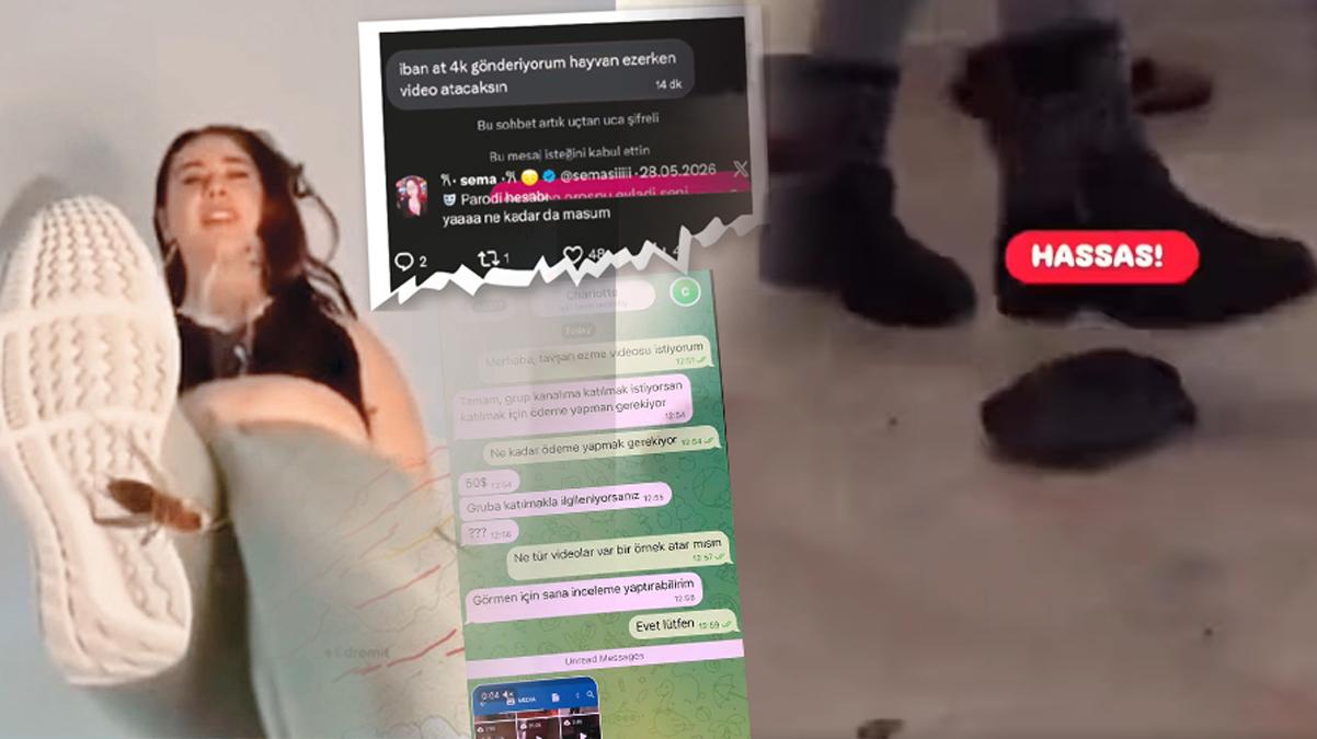 Kaplumbağa cinayeti organize dehşeti ortaya çıkardı! 4 bin liraya canilik