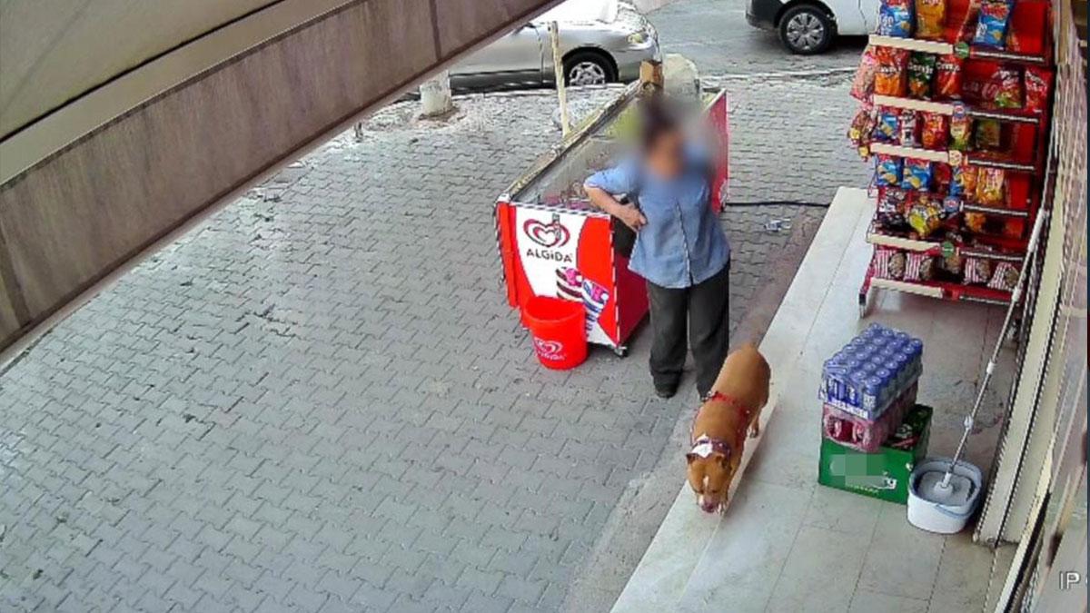 Karşıyaka'da pitbull dehşeti! 5 çocuk annesi kadının parmağı koptu