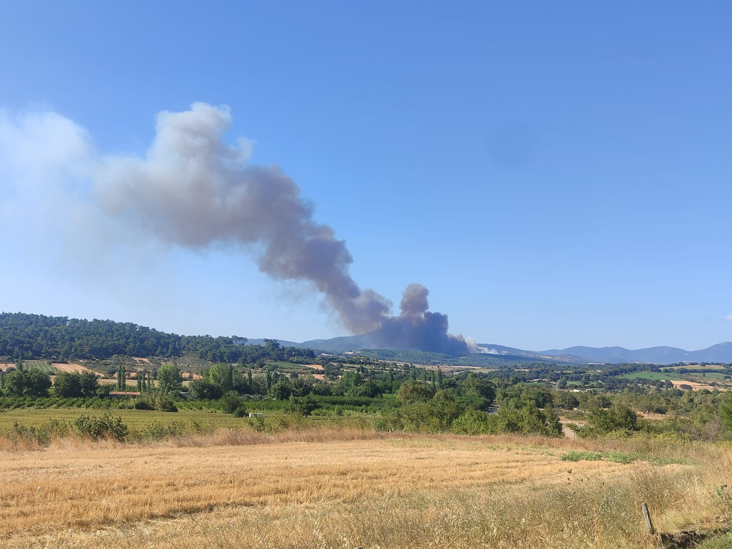 Çanakkale'de çıkan orman yangınına müdahale ediliyor