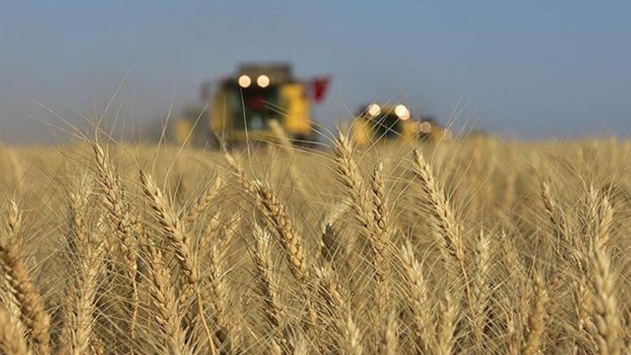 Türkiye tarımda dünya devleri arasında! Bakan Yumaklı: 2026'da çok daha yukarıları göreceğiz