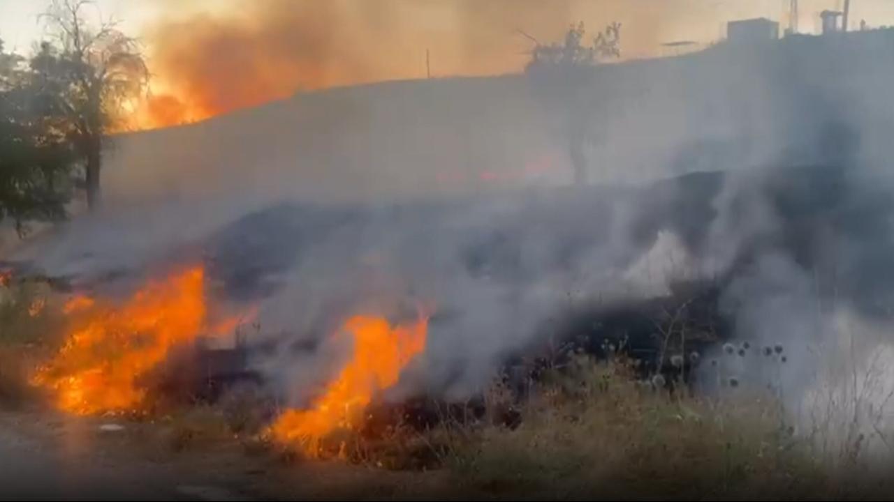Elazığ'da orman yangını! Havadan ve karadan müdahale başladı
