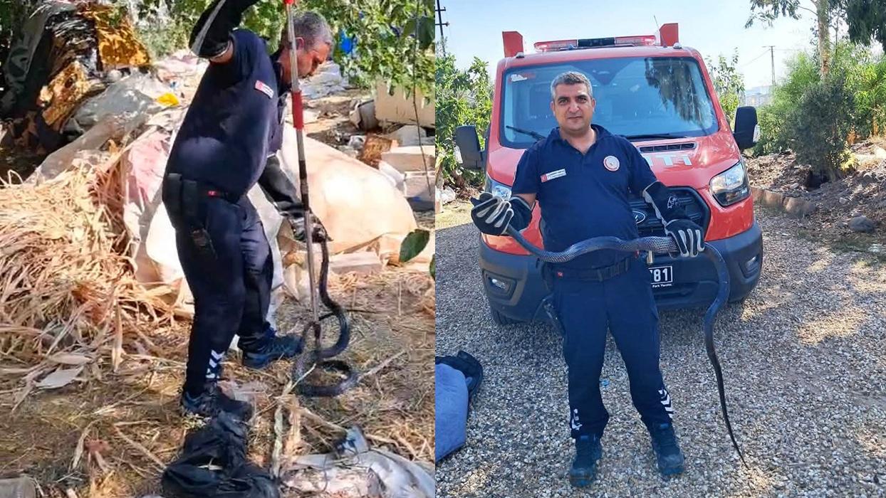 Bahçede panik anları: 2 metrelik yılan korkuttu