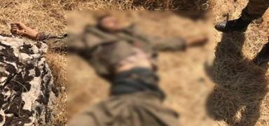 Diyarbakr'n Lice krsalnda 3 PKK'l terrist etkisiz hale getirildi