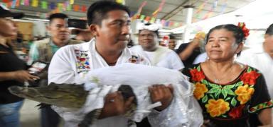 Meksikal belediye bakan timsahla evlendi: Gelinlik giydirip dans etti