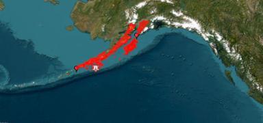 Alaska Yarmadas'nda 7.3 iddetinde deprem! Tsunami alarm verildi