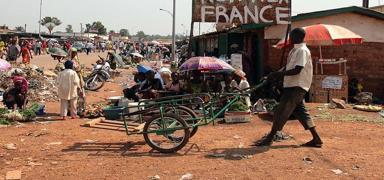 Afrika'nn hasta adamna bir darbe daha: Franszcay resmi dil olmaktan kardlar