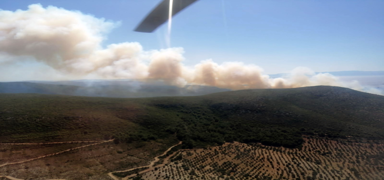 zmir'de makilik alanlarda kan yangnlar kontrol altna alnd