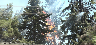 Belgrad Orman'nda yangnlara kar polis denetimi