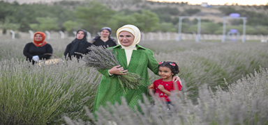 Lavanta hasad yapan Emine Erdoan ekolojik tarmn nemine dikkati ekti