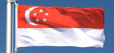 Singapur'da yeni cumhurbakan belli oldu