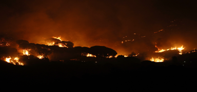 Sicilya'daki orman yangnlarnda 2 kii ld