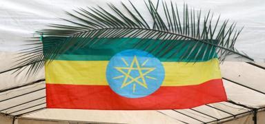 Etiyopya'da hükümet ile isyancılar arasında müzakereler sürüyor