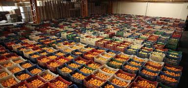 2,6 milyar dolar at! Trkiye'den 10 aylk meyve sebze ihracat