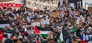 Harvard Yahudilerinden Gazze'de Siyonist İsrail terörünü durdurma çağrısı!