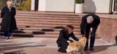 Moldova Cumhurbaşkanı'nın köpeği Avusturya Cumhurbaşkanı'nın eline saldırdı