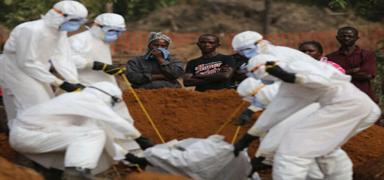 Etiyopya'da kolera salgn bilanosu artyor: 2 haftada 23 kii yaamn yitirdi