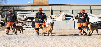 TSK'nın etkin bir role sahip olan arama kurtarma köpekleri, doğal afetlerde hayat kurtarıyor