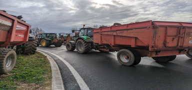İtalya'da çiftçiler traktörlerle Roma'ya gidiyor