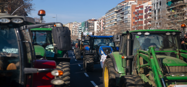 Protestolar sürüyor: İspanya'da 19 çiftçi gözaltına alındı