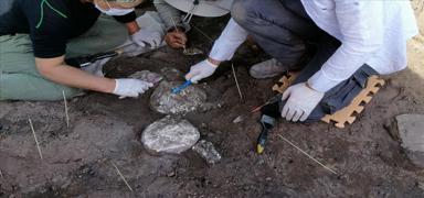 Panama'daki arkeolojik kazlarda 1300 yldan daha eski olduu tahmin edilen bir mezar tespit edildi