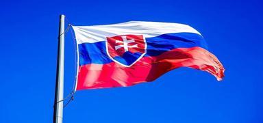 Slovakya'da cumhurbakanl seimi ikinci tura kald