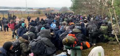 Polonya'da 220 dzensiz gmene engel oldu