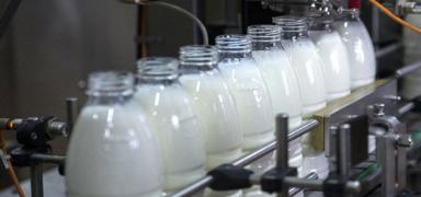 FDA, test yaplan 5 ticari stten birinde ku gribi izine rastlandn aklad
