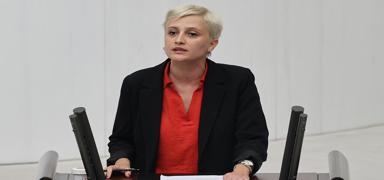DEM Partili vekil, Trk isminden rahatsz oldu