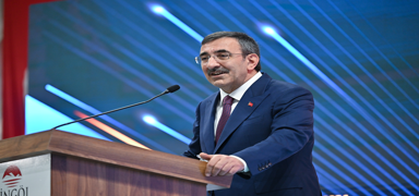 Cumhurbakan Yardmcs Ylmaz: Tersine g salamamz lazm