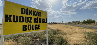 anlurfa'da mahalleye kuduz karantinas
