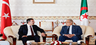 Cumhurbakan Yardmcs Ylmaz, Cezayir Babakan Arbavi ile grt