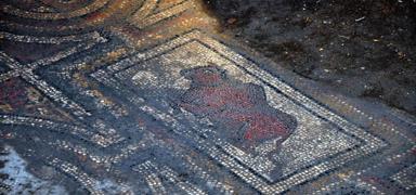 Osmaniye'de kaz yaparken ortaya kt : Zeugma'ya e deer taban mozaikleri bulundu