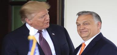 Orban'n Ukrayna-Rusya temaslar sryor: Trump bunu zecek