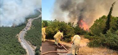 Balkesir'de orman yangn: Havadan ve karadan mdahale ediliyor
