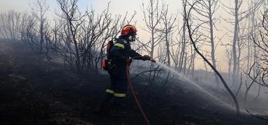 Yunanistan orman yangnlaryla bouuyor: Son 24 saatte 45 noktada yangn kt